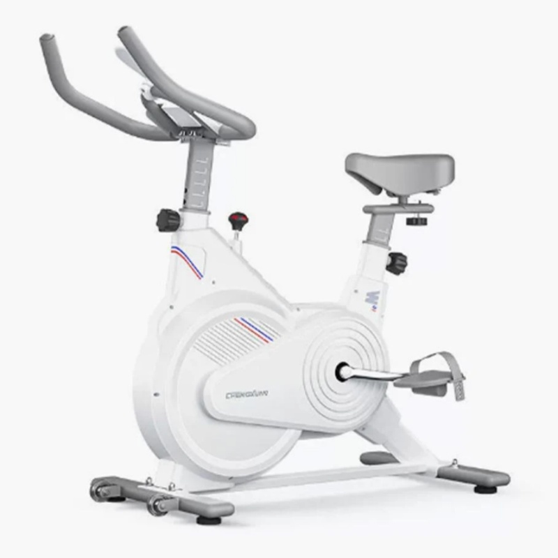 Home Gym Necessities - Indoor Stationary Spin Bike, Silent Magnetic