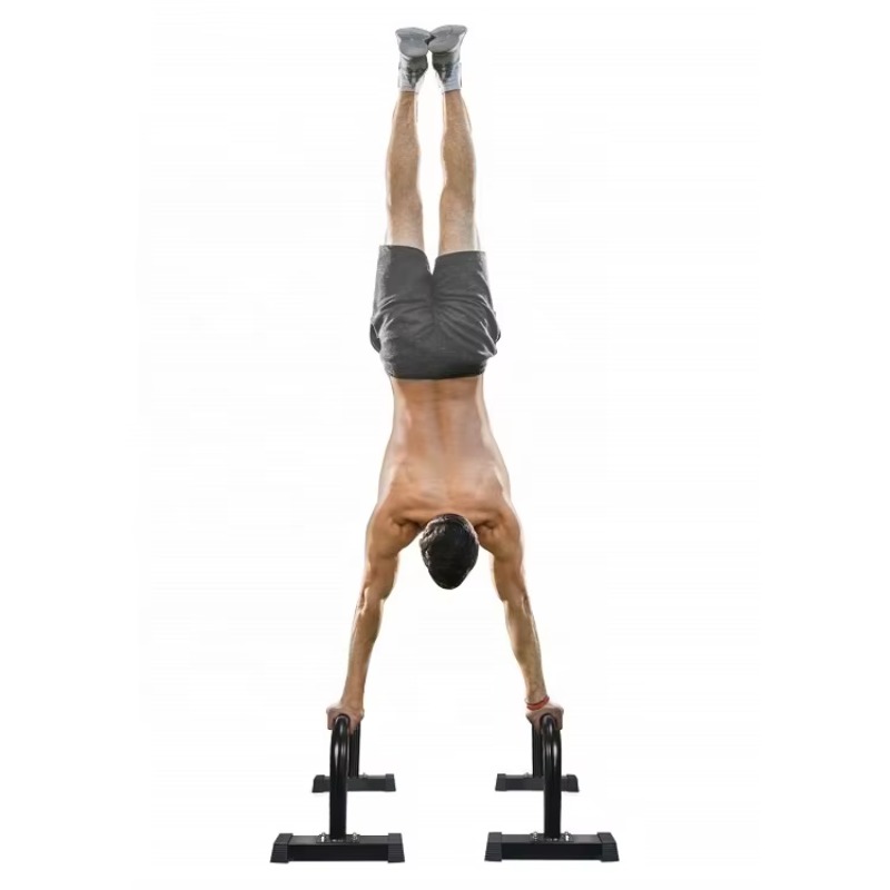 Parallettes Push up Bars Push  - Push Up Stand Bar 评论和价格