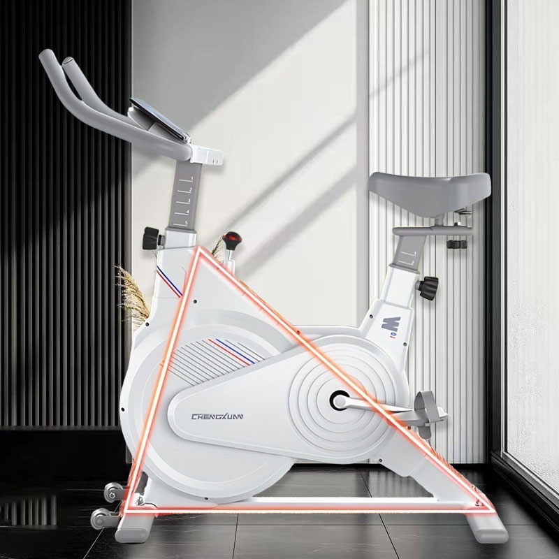 Indoor Stationary Spin Bike, S - Home Gym Necessities 评论和价格