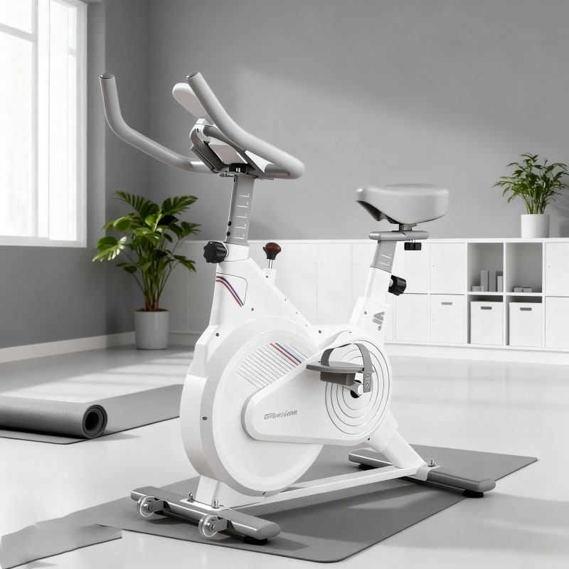 Indoor Stationary Spin Bike, S - Home Gym Necessities 评论和价格